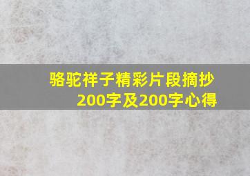 骆驼祥子精彩片段摘抄200字及200字心得