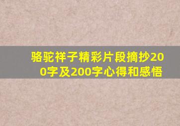 骆驼祥子精彩片段摘抄200字及200字心得和感悟