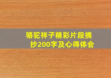 骆驼祥子精彩片段摘抄200字及心得体会