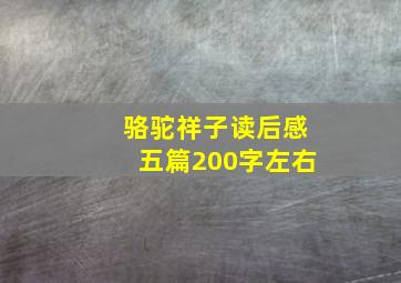 骆驼祥子读后感五篇200字左右