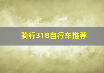 骑行318自行车推荐