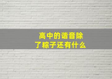 高中的谐音除了粽子还有什么