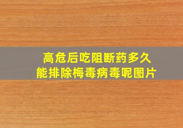 高危后吃阻断药多久能排除梅毒病毒呢图片