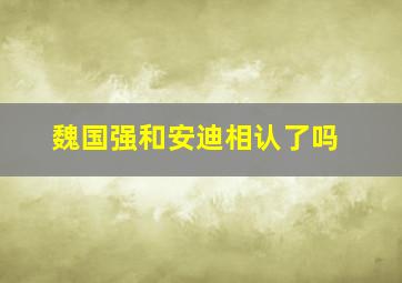 魏国强和安迪相认了吗