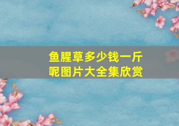 鱼腥草多少钱一斤呢图片大全集欣赏