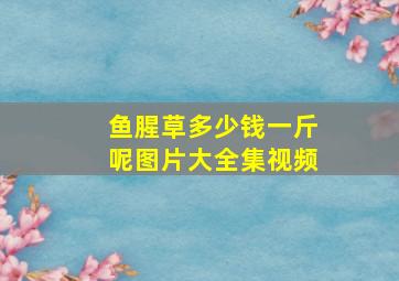 鱼腥草多少钱一斤呢图片大全集视频