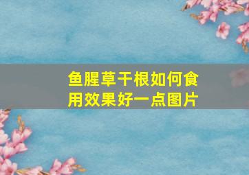 鱼腥草干根如何食用效果好一点图片