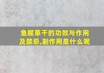 鱼腥草干的功效与作用及禁忌,副作用是什么呢