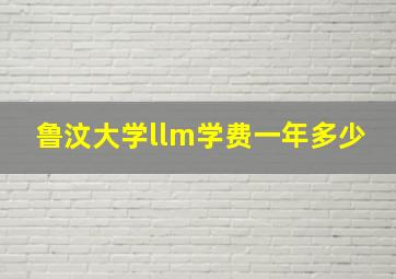 鲁汶大学llm学费一年多少