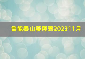 鲁能泰山赛程表202311月