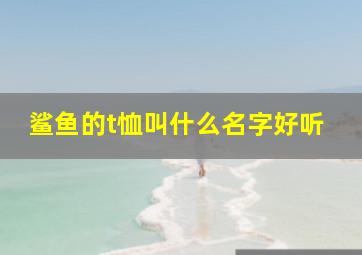 鲨鱼的t恤叫什么名字好听