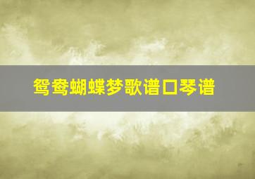 鸳鸯蝴蝶梦歌谱口琴谱