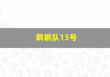 鹈鹕队13号