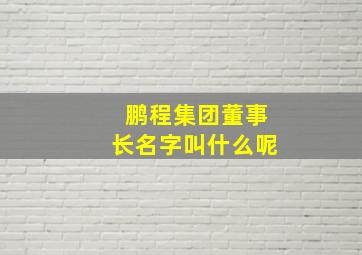 鹏程集团董事长名字叫什么呢