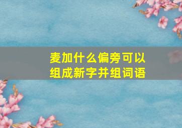 麦加什么偏旁可以组成新字并组词语