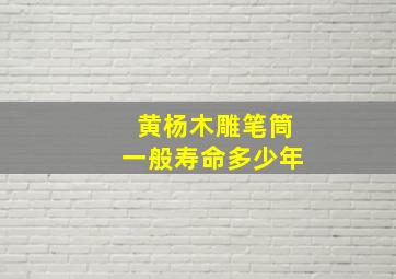 黄杨木雕笔筒一般寿命多少年