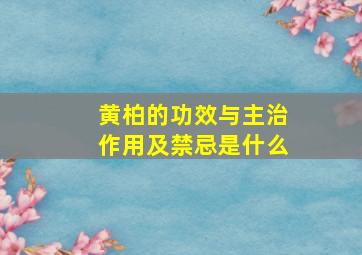 黄柏的功效与主治作用及禁忌是什么