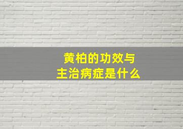 黄柏的功效与主治病症是什么