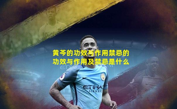 黄芩的功效与作用禁忌的功效与作用及禁忌是什么