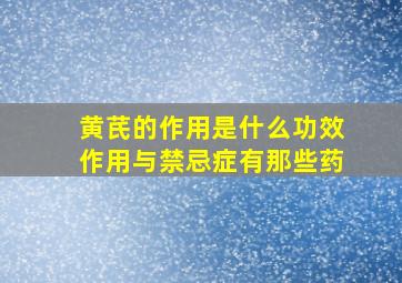 黄芪的作用是什么功效作用与禁忌症有那些药