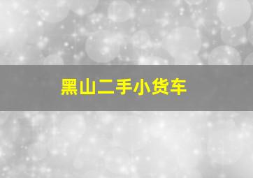 黑山二手小货车