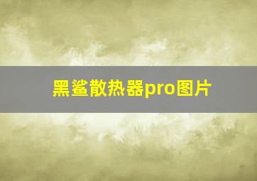 黑鲨散热器pro图片