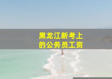 黑龙江新考上的公务员工资