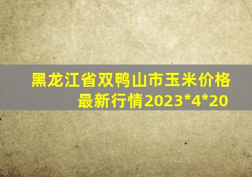 黑龙江省双鸭山市玉米价格最新行情2023*4*20