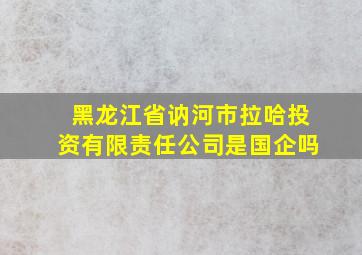 黑龙江省讷河市拉哈投资有限责任公司是国企吗