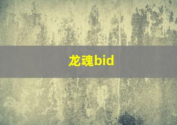 龙魂bid