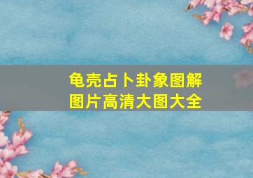 龟壳占卜卦象图解图片高清大图大全